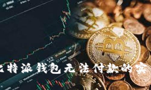 解决比特派钱包无法付款的实用指南