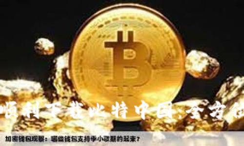 如何顺利下载比特中国：全方位指南