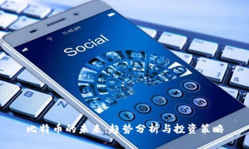 比特币的未来：趋势分析与投资策略