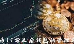 比特币11分叉后钱包的管理与指南