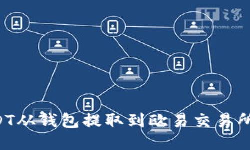 如何将USDT从钱包提取到欧易交易所：详细指南