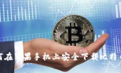 : 如何在苹果手机上安全下