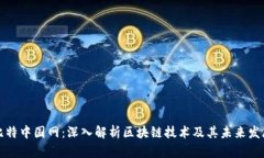 比特中国网：深入解析区