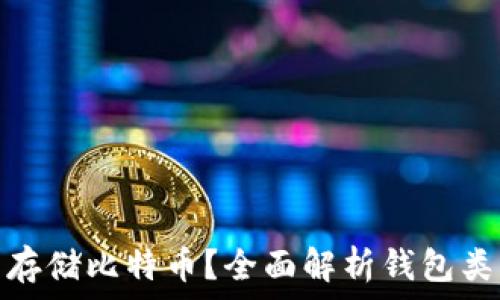   
货币钱包能否存储比特币？全面解析钱包类型及其安全性