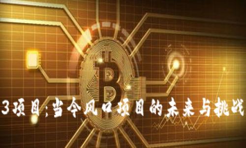 Web3项目：当今风口项目的未来与挑战分析