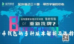 比特币钱包的多种版本解析及选择指南