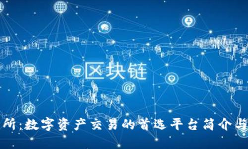 比特交易所：数字资产交易的首选平台简介与发展概况