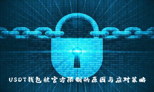 USDT钱包被官方限制的原因与应对策略