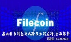 存比特币钱包的风险及如何应对：全面解析