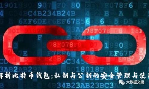 全面解析比特币钱包：私钥与公钥的安全管理与使用指南