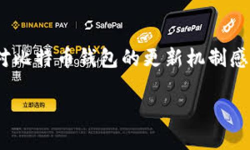 在现代的数字货币市场中，比特币钱包作为存储和管理比特币的工具，其重要性不言而喻。然而，很多人对比特币钱包的更新机制感到困惑。本篇文章将围绕“比特币钱包谁负责更新”这一进行详细探讨，分析其背后的技术逻辑和参与者。

比特币钱包更新的责任与机制分析