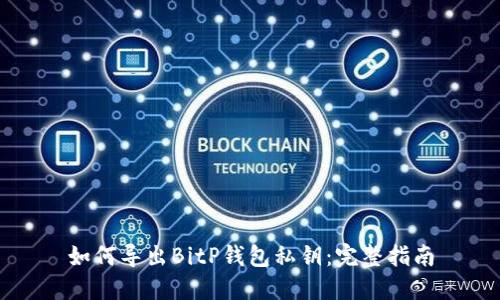 如何导出BitP钱包私钥：完整指南