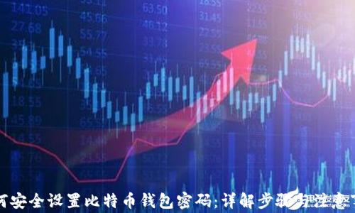 
如何安全设置比特币钱包密码：详解步骤与注意事项