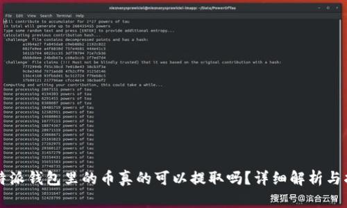 比特派钱包里的币真的可以提取吗？详细解析与指南