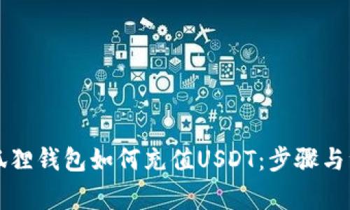 详解小狐狸钱包如何充值USDT：步骤与注意事项