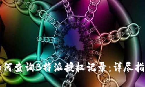 如何查询B特派授权记录：详尽指南