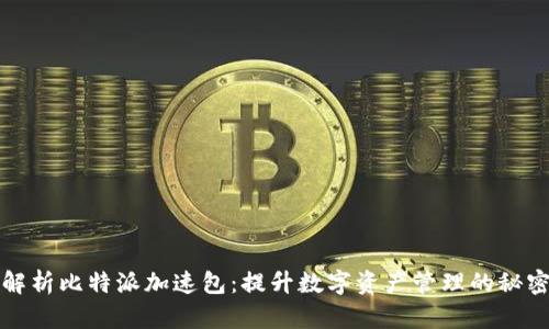 全面解析比特派加速包：提升数字资产管理的秘密武器