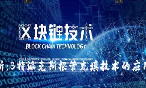 完全解析：B特派克斯根管充填技术的应用与优势