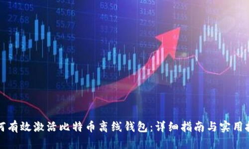 如何有效激活比特币离线钱包：详细指南与实用技巧