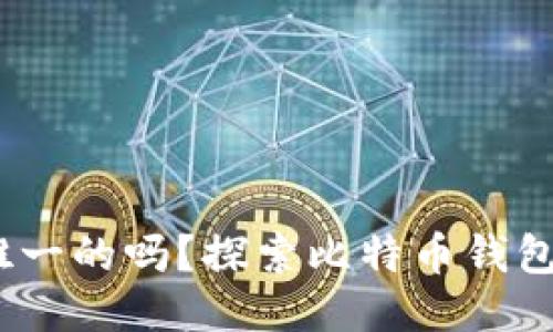 比特币钱包：是唯一的吗？探索比特币钱包的种类与安全性