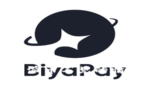 如何应对B特派币不见的情况：完整指南