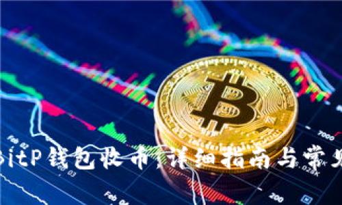 如何使用BitP钱包收币：详细指南与常见问题解答