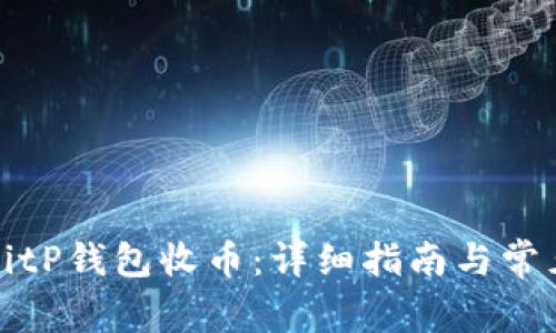 如何使用BitP钱包收币：详细指南与常见问题解答