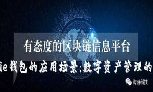 探索Bitpie钱包的应用场景：数字资产管理的全新体验