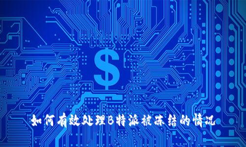 如何有效处理B特派被冻结的情况