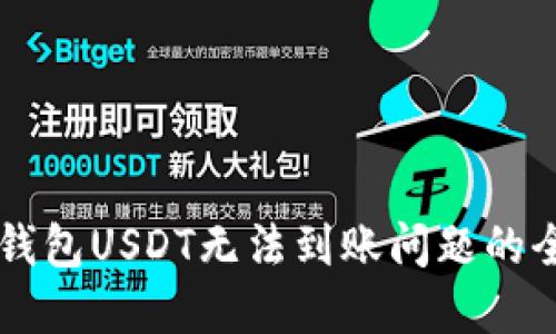 解决TP钱包USDT无法到账问题的全面指南