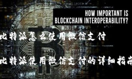 比特派怎么使用微信支付

比特派使用微信支付的详细指南