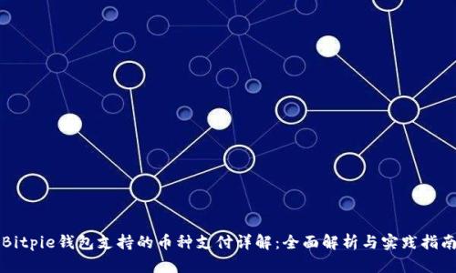 Bitpie钱包支持的币种支付详解：全面解析与实践指南