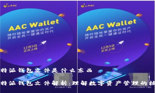 比特派钱包文件是什么东西

比特派钱包文件解析：理解数字资产管理的核心