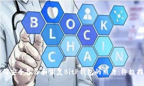 如何安全备份和恢复BitP钱包的照片：终极指南